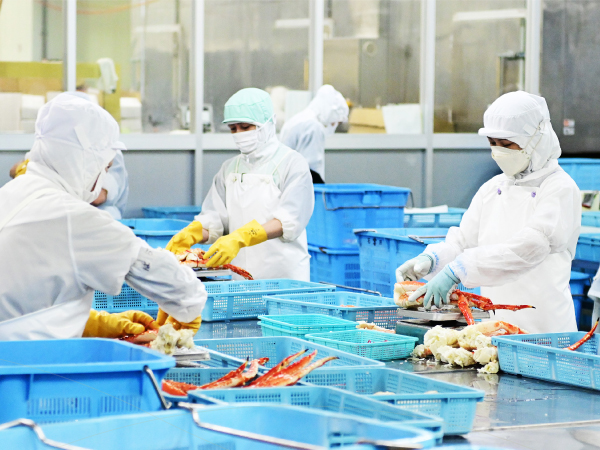 旬の食材へのこだわり